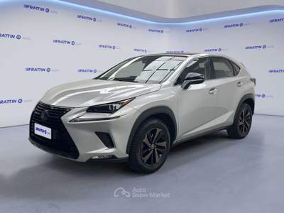Lexus NX Nx Hybrid 4wd Luxury Argento usata Cassola