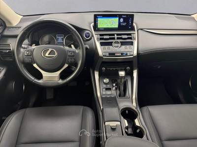 Lexus NX Nx Hybrid 4wd Luxury Argento usata Cassola