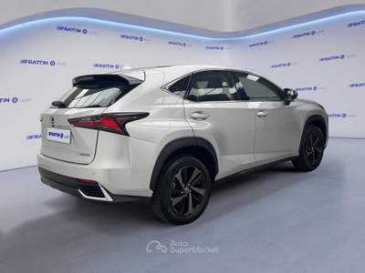 Lexus NX Nx Hybrid 4wd Luxury Argento usata Cassola