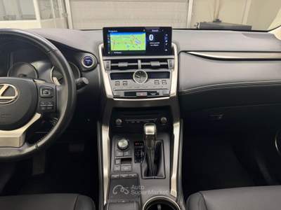 Lexus NX Nx Hybrid 4wd Luxury Argento usata Cassola