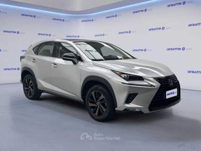 Lexus NX Nx Hybrid 4wd Luxury Argento usata Cassola