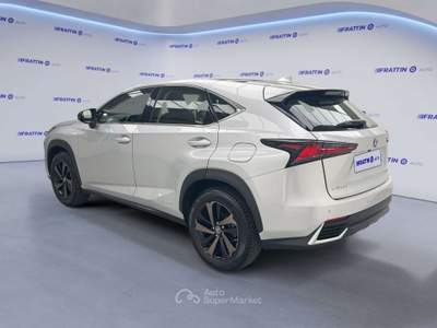 Lexus NX Nx Hybrid 4wd Luxury Argento usata Cassola
