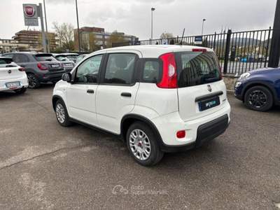 Fiat Panda *PROMO* 1.0 firefly hybrid s&amp;s 70cv 5p.ti Bianco usata Borgo San Lorenzo
