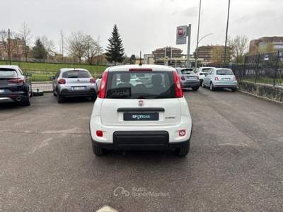 Fiat Panda *PROMO* 1.0 firefly hybrid s&amp;s 70cv 5p.ti Bianco usata Borgo San Lorenzo