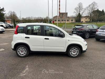 Fiat Panda *PROMO* 1.0 firefly hybrid s&amp;s 70cv 5p.ti Bianco usata Borgo San Lorenzo