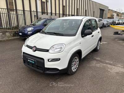 Fiat Panda *PROMO* 1.0 firefly hybrid s&amp;s 70cv 5p.ti Bianco usata Borgo San Lorenzo