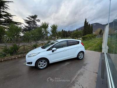 Ford Fiesta 1.5 TDCi 75 CV 5p. Titanium usata Campagna