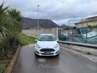 Ford Fiesta 1.5 TDCi 75 CV 5p. Titanium usata Campagna