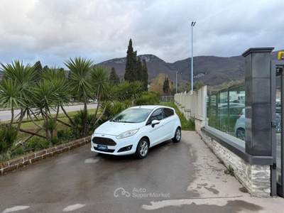 Ford Fiesta 1.5 TDCi 75 CV 5p. Titanium usata Campagna