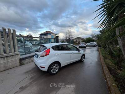 Ford Fiesta 1.5 TDCi 75 CV 5p. Titanium usata Campagna