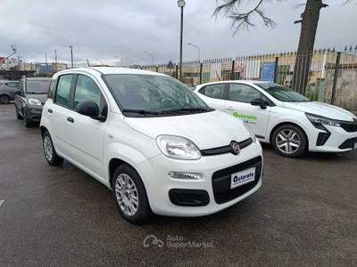 Fiat Panda FIAT PANDA 1.0 FIREFLY 70 CV S&S HYBRID Bianco usata Pontecagnano Faiano