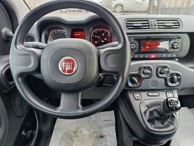 Fiat Panda FIAT PANDA 1.0 FIREFLY 70 CV S&S HYBRID Bianco usata Pontecagnano Faiano