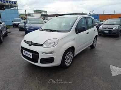Fiat Panda FIAT PANDA 1.0 FIREFLY 70 CV S&S HYBRID Bianco usata Pontecagnano Faiano