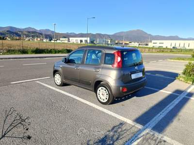 Fiat Panda Panda III 2016 1.2 Pop s Grigio usata Pedrengo