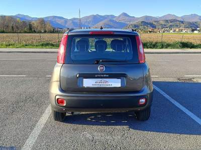Fiat Panda Panda III 2016 1.2 Pop s Grigio usata Pedrengo