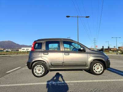 Fiat Panda Panda III 2016 1.2 Pop s Grigio usata Pedrengo