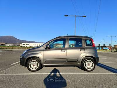 Fiat Panda Panda III 2016 1.2 Pop s Grigio usata Pedrengo