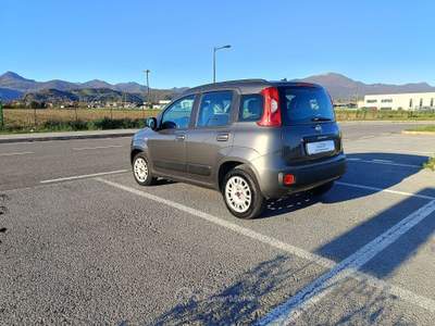 Fiat Panda Panda III 2016 1.2 Pop s Grigio usata Pedrengo