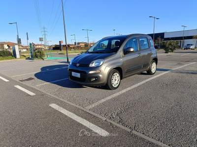 Fiat Panda Panda III 2016 1.2 Pop s Grigio usata Pedrengo
