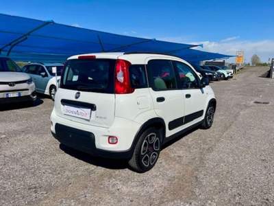 Fiat Panda 1.0 FireFly S&S Hybrid City Life Bianco usata Borgo San Giacomo