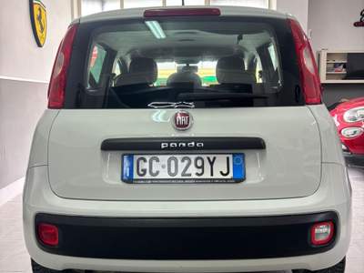 Fiat Panda maniacale Bianco usata Pompei