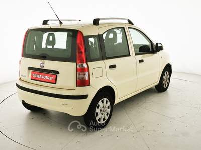 Fiat Panda 1.2 Active Giallo usata Crema