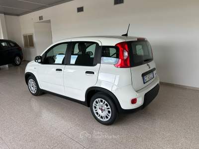 Fiat Panda 1.0 Hybrid 70cv – 2024 - 14.000 km CHIAVI IN MANO Bianco usata Capo d`Orlando