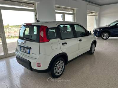 Fiat Panda 1.0 Hybrid 70cv – 2024 - 14.000 km CHIAVI IN MANO Bianco usata Capo d`Orlando