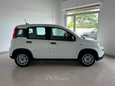 Fiat Panda 1.0 Hybrid 70cv – 2024 - 14.000 km CHIAVI IN MANO Bianco usata Capo d`Orlando