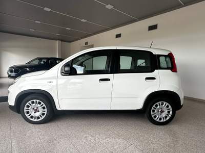 Fiat Panda 1.0 Hybrid 70cv – 2024 - 14.000 km CHIAVI IN MANO Bianco usata Capo d`Orlando