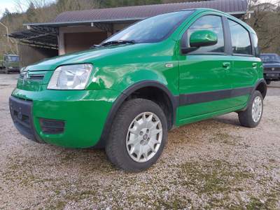 Fiat Panda fiat panda 4x4 Verde usata Ascoli Piceno
