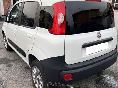 Fiat Panda Panda 1.3 MJT 4x4 Pop Van 2 posti Bianco usata Almese
