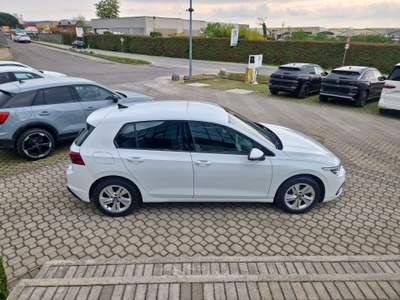 Volkswagen Golf 1.5 eTSI EVO ACT Life DSG Bianco usata Prevalle