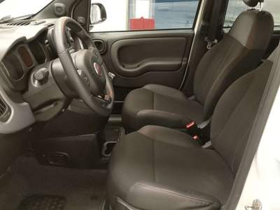 Fiat Panda 1.0 BENZINA hybrid SPORT S Bianco usata Abbiategrasso