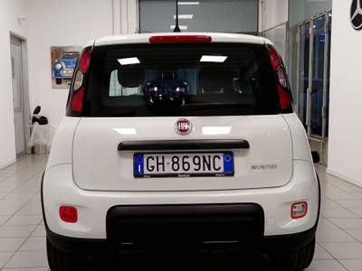 Fiat Panda 1.0 BENZINA hybrid SPORT S Bianco usata Abbiategrasso