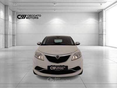 Lancia Ypsilon 1.2 Elefantino Bianco usata Padova