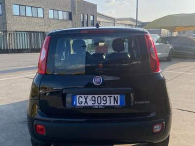Fiat Panda 1.0 FireFly S&S Hybrid 5 POSTI OK NEOPATENTATI Nero usata Cremosano