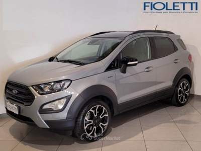 Ford EcoSport 1.0 ECOBOOST 125 CV START&STOP ACTIVE Argento usata Manerbio