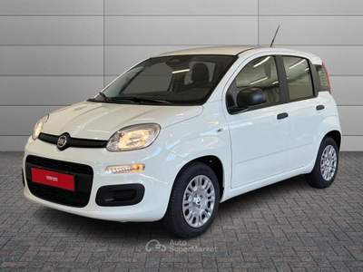 Fiat Pandina Pandina Pop Bianco usata Caresanablot