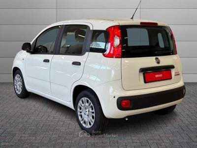 Fiat Pandina Pandina Pop Bianco usata Caresanablot