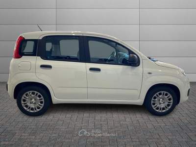 Fiat Pandina Pandina Pop Bianco usata Caresanablot