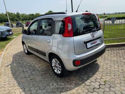 Fiat Panda Panda 1.3 mjt Argento usata Ciriè