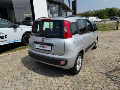 Fiat Panda Panda 1.3 mjt Argento usata Ciriè