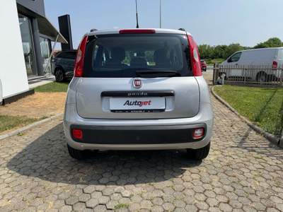 Fiat Panda Panda 1.3 mjt Argento usata Ciriè