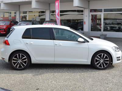 Volkswagen Golf Golf VII 2013 5p 1.6 tdi Highline 105cv Bianco usata Ciriè