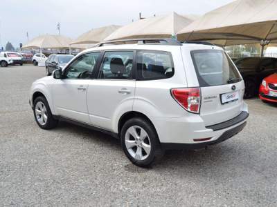 Subaru Forester Forester 2.0d XS 146CV Bianco usata Ciriè