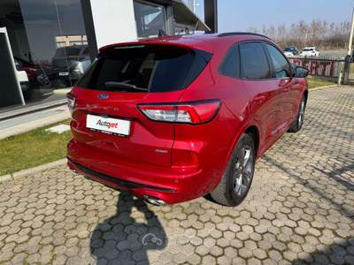 Ford Kuga Kuga 2.5 full hybrid ST-Line 2wd 190cv cvt Rosso usata Ciriè