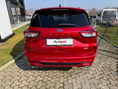 Ford Kuga Kuga 2.5 full hybrid ST-Line 2wd 190cv cvt Rosso usata Ciriè