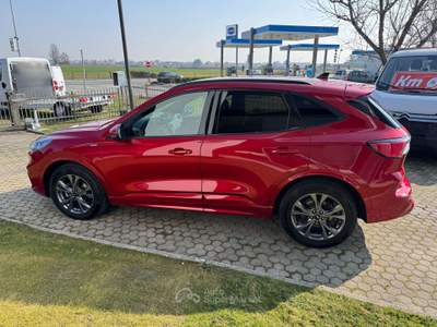 Ford Kuga Kuga 2.5 full hybrid ST-Line 2wd 190cv cvt Rosso usata Ciriè