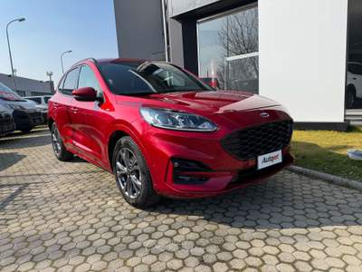 Ford Kuga Kuga 2.5 full hybrid ST-Line 2wd 190cv cvt Rosso usata Ciriè